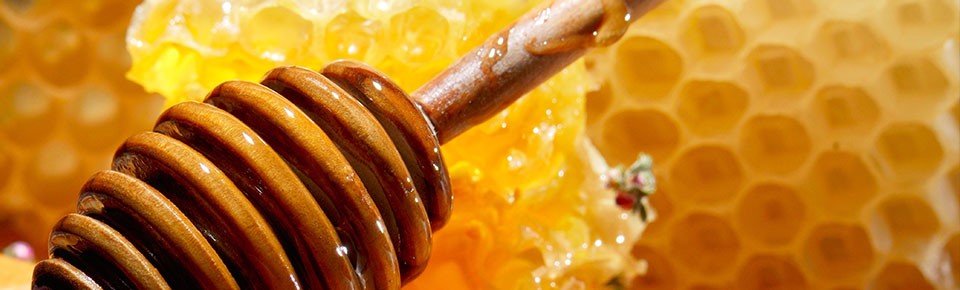  Raw Honey Eco Bee Castle Gardens Tampa FL